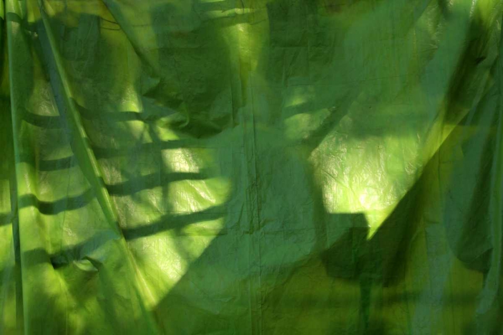 Fresh Green 3