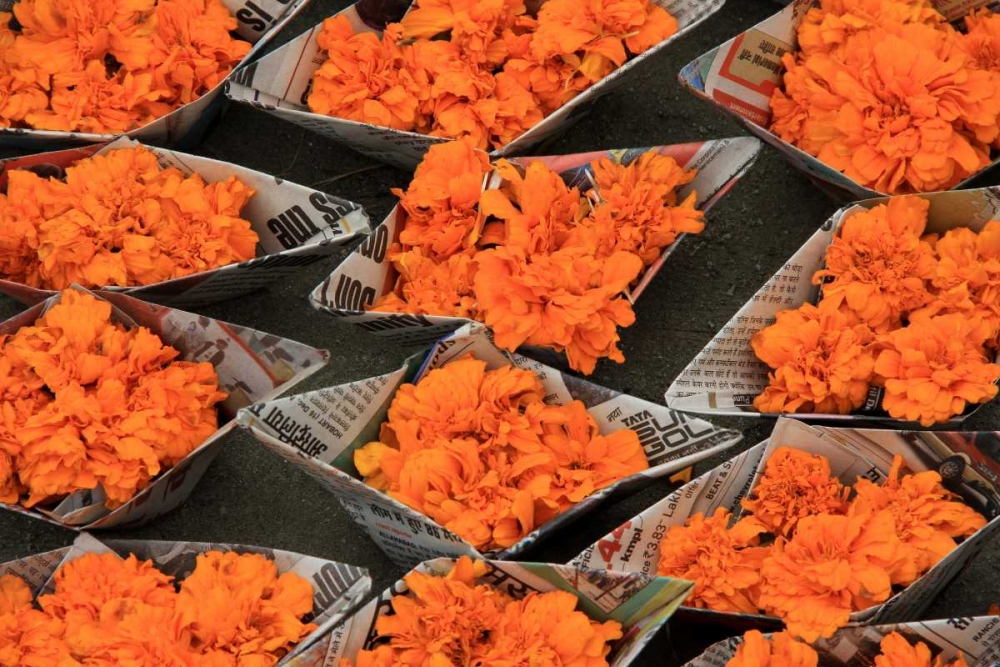 Global Orange 1