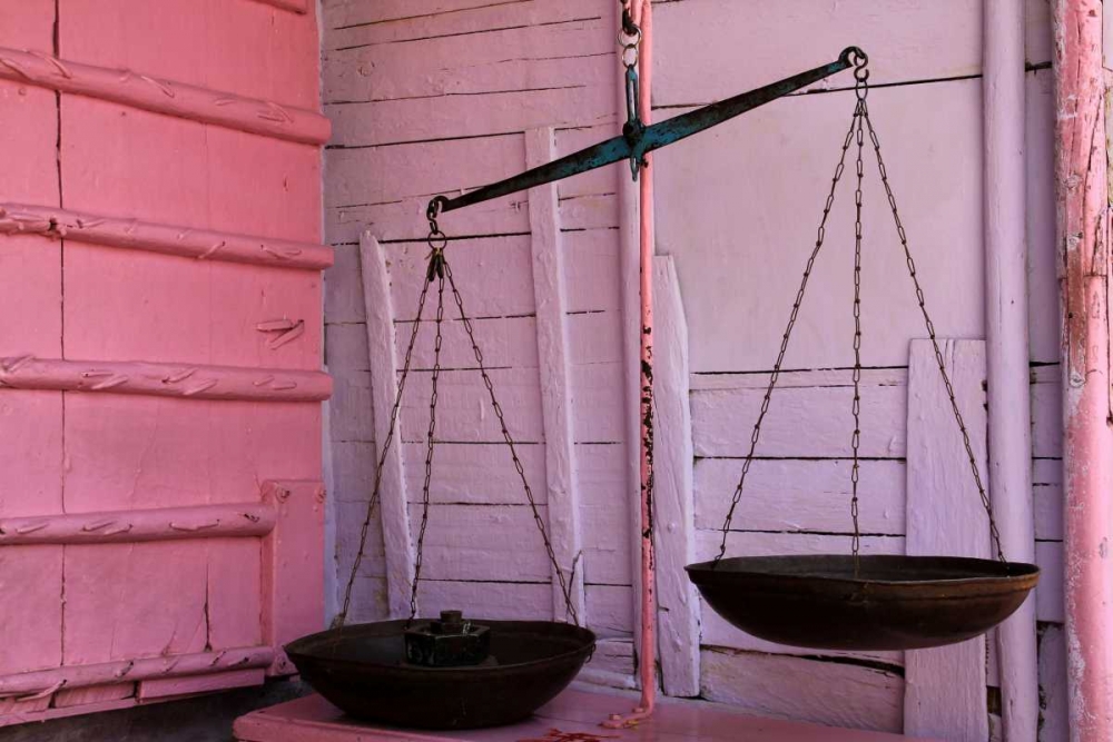 Scales in Pink