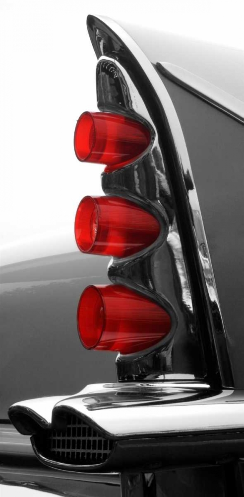 Gray Tailfin