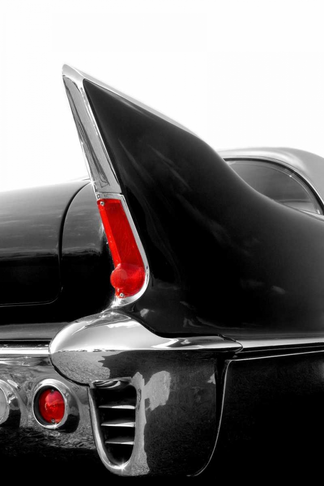Black Tailfin