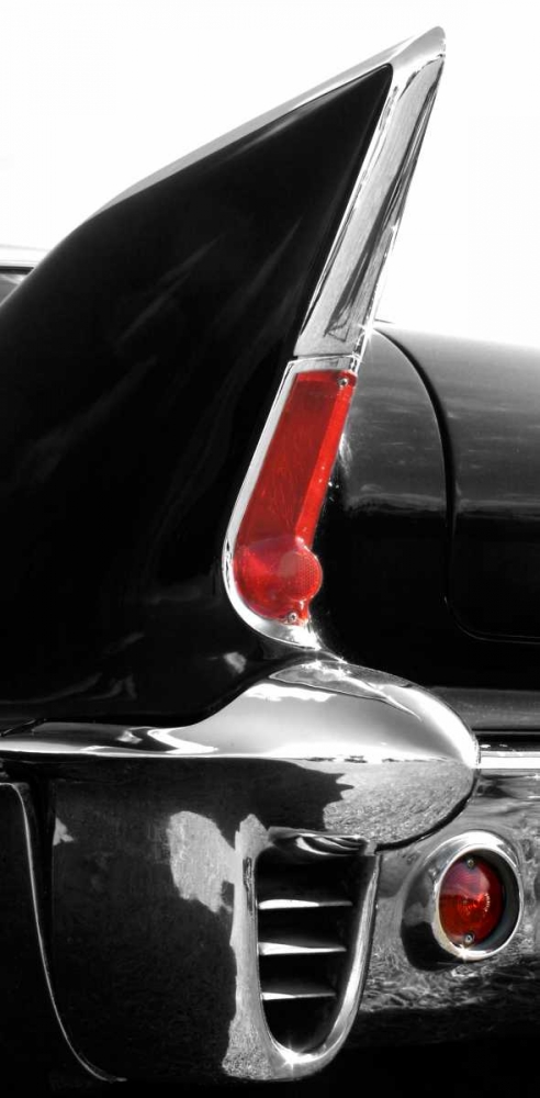 Black Tailfin