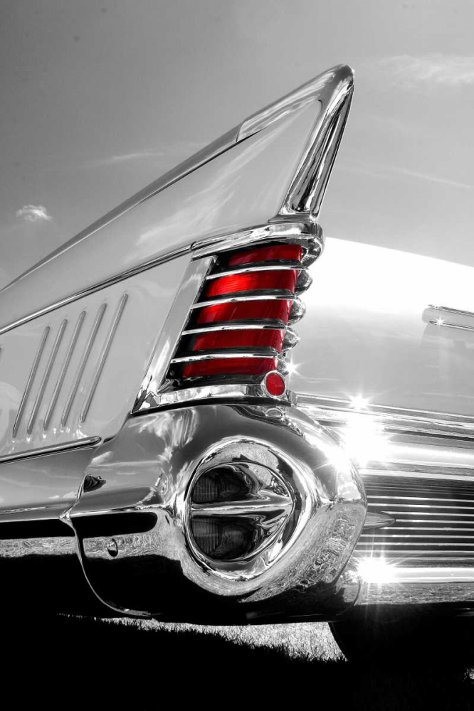 White Tailfin