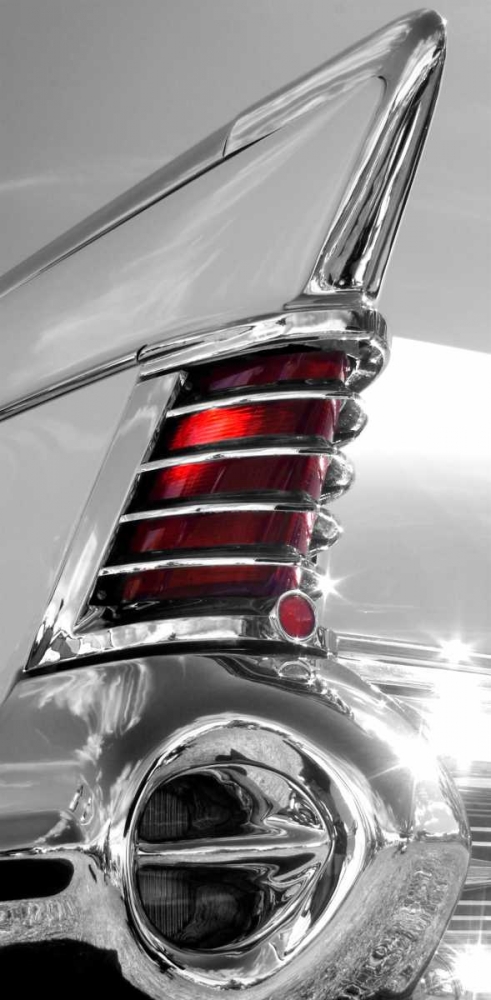 White Tailfin