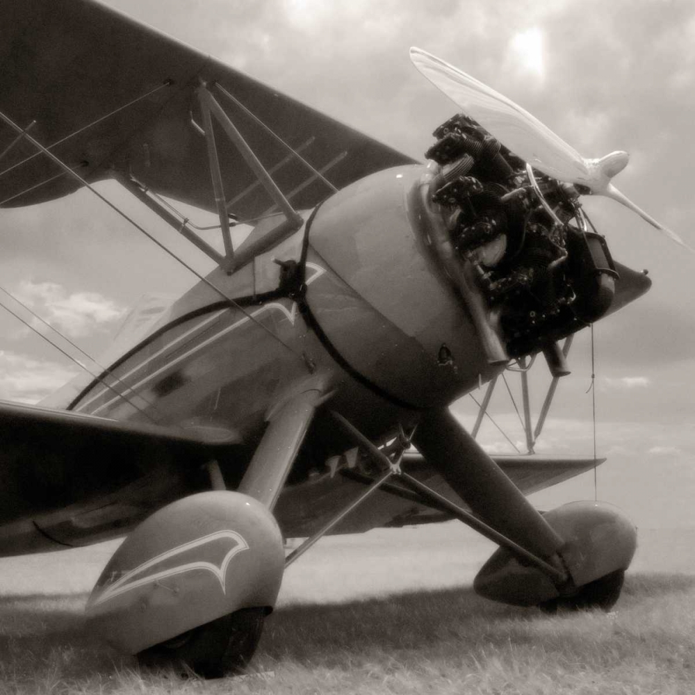 Dreams of Flying