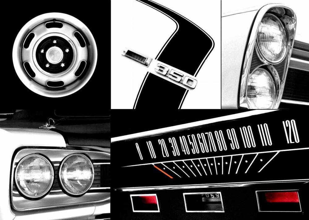 Muscle