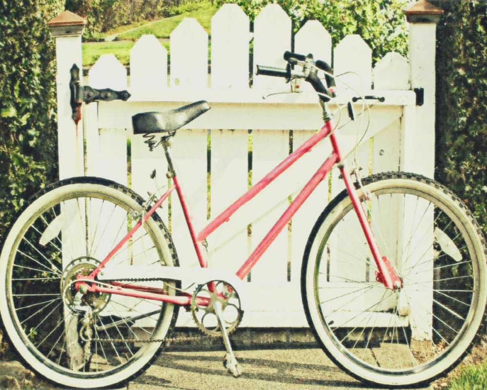 Vintage Pink Bike