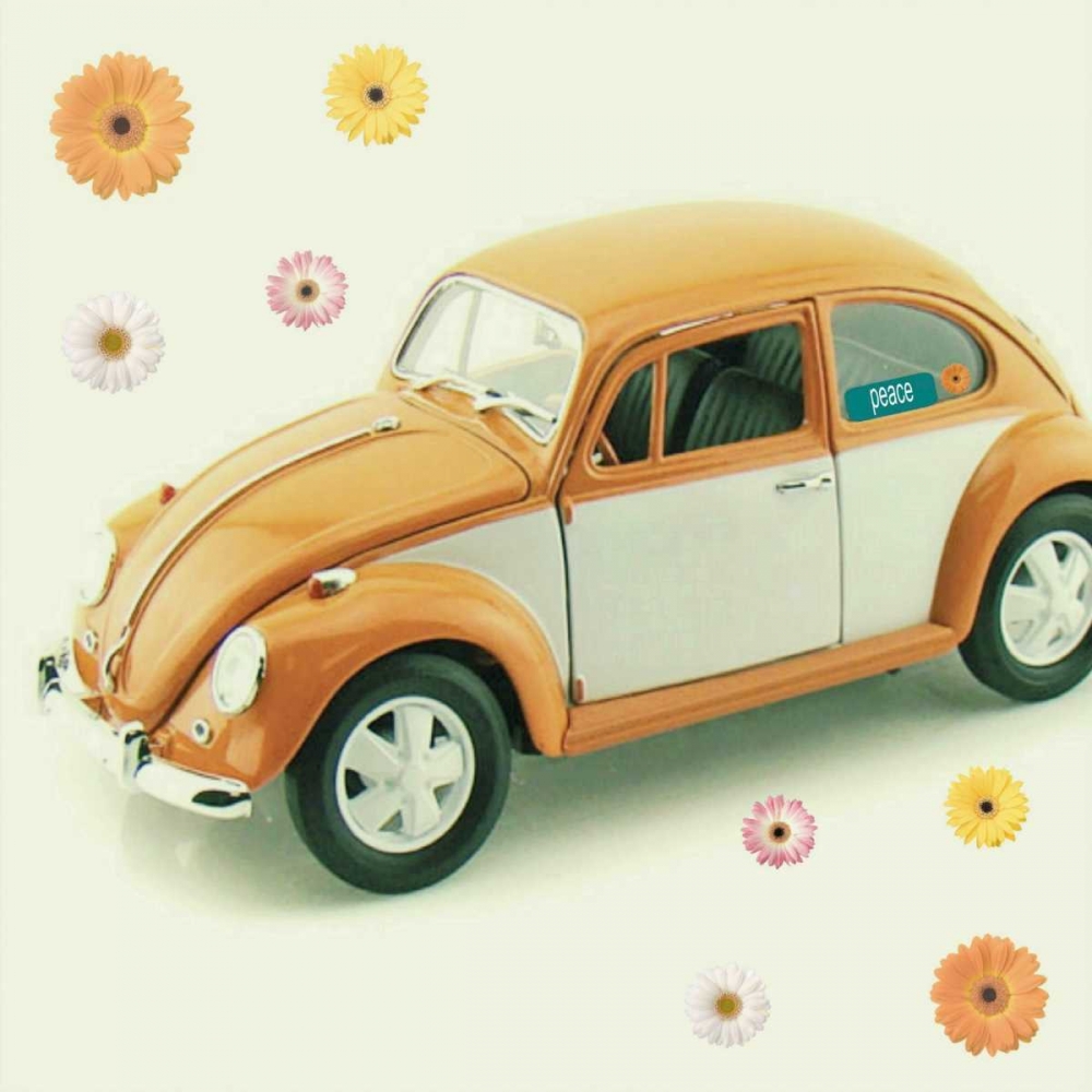 Orange Daisies