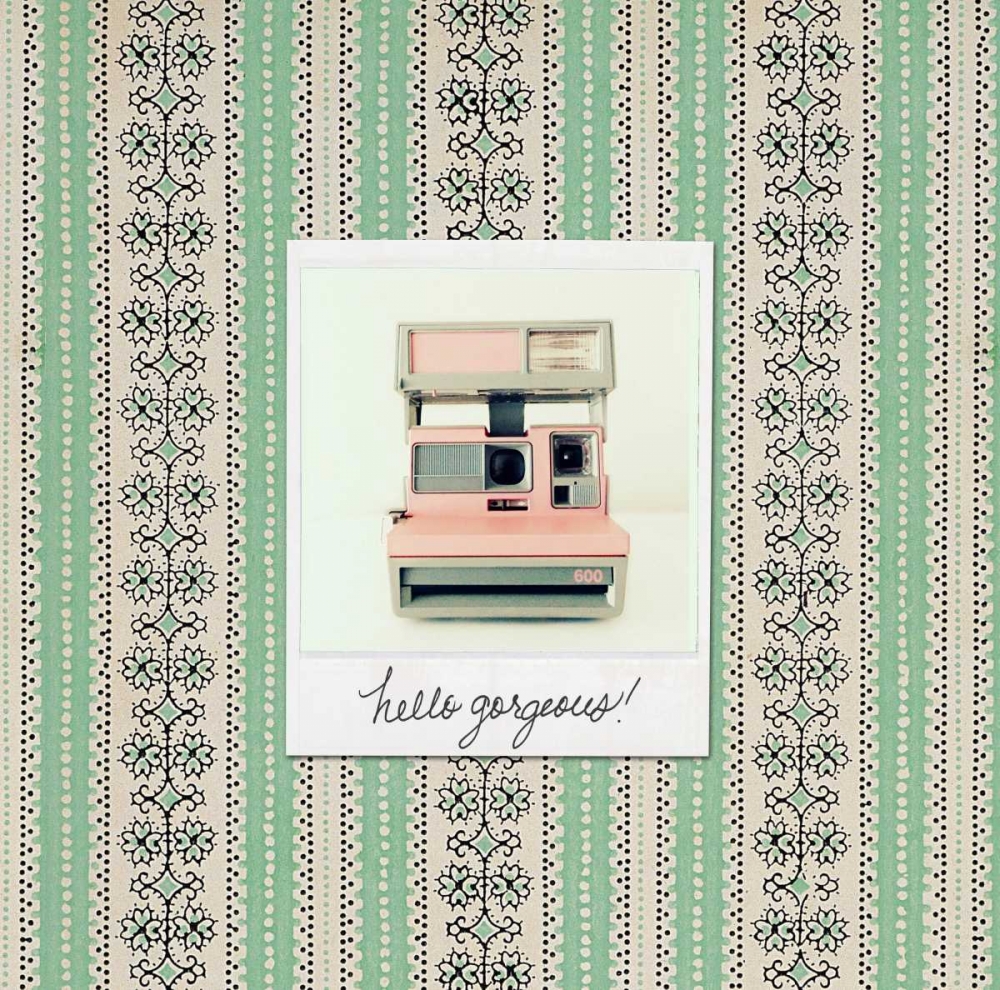 Hello Gorgeous Polaroid