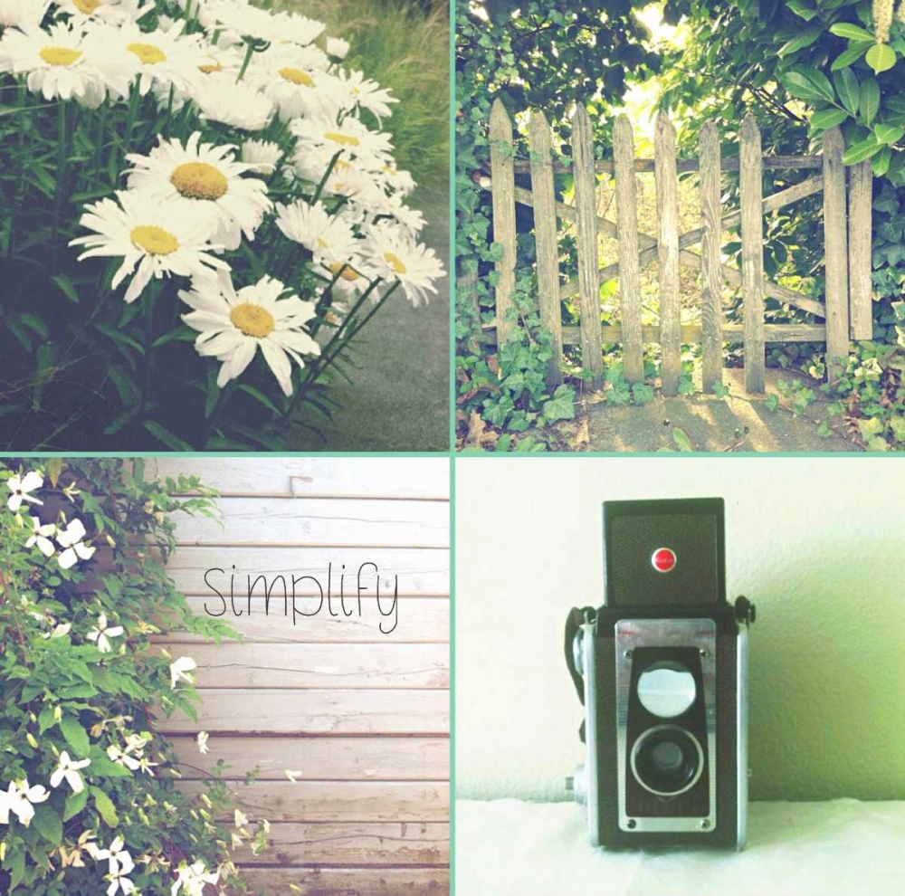 Camera And Daisies SIMPLIFY
