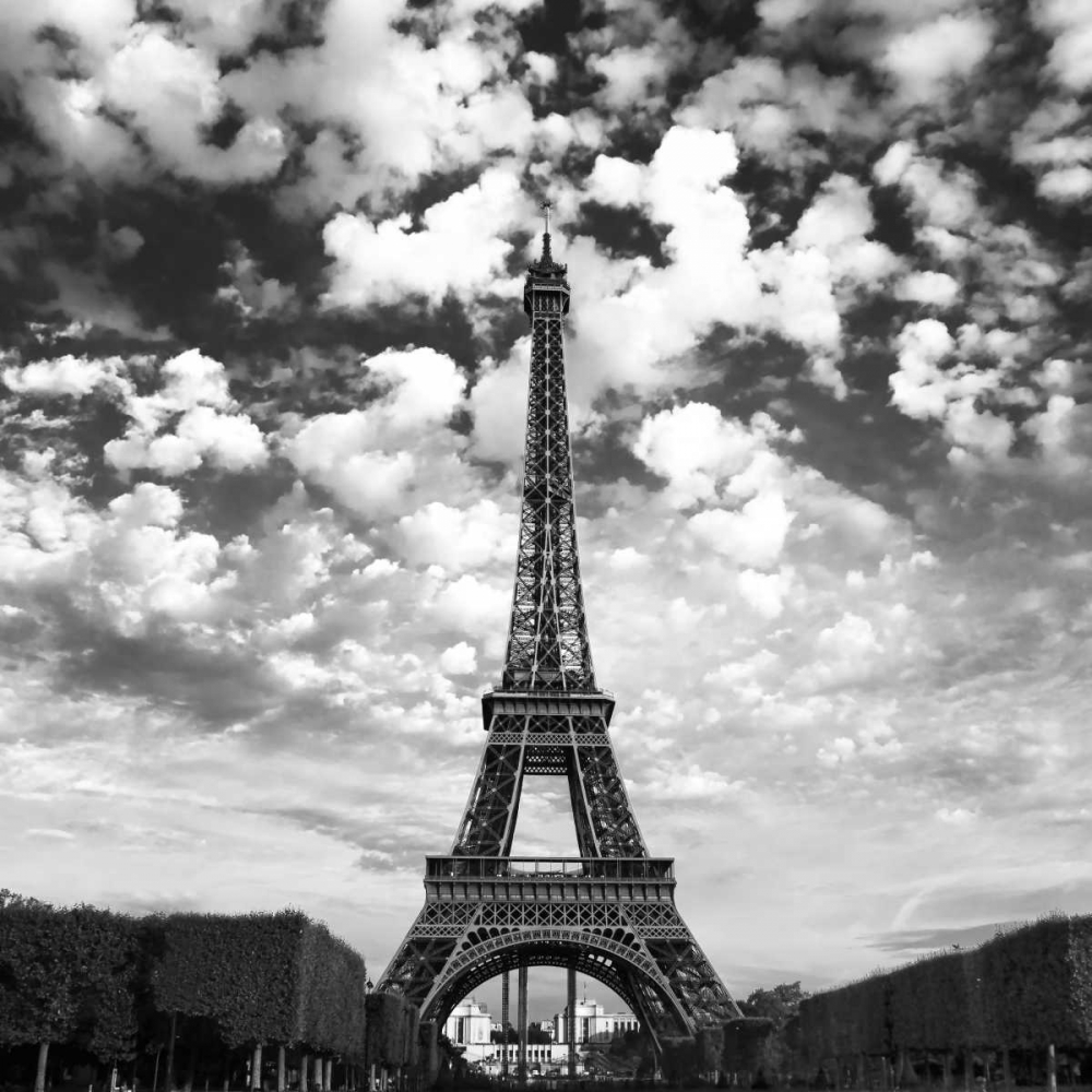 Viewing The Eiffel