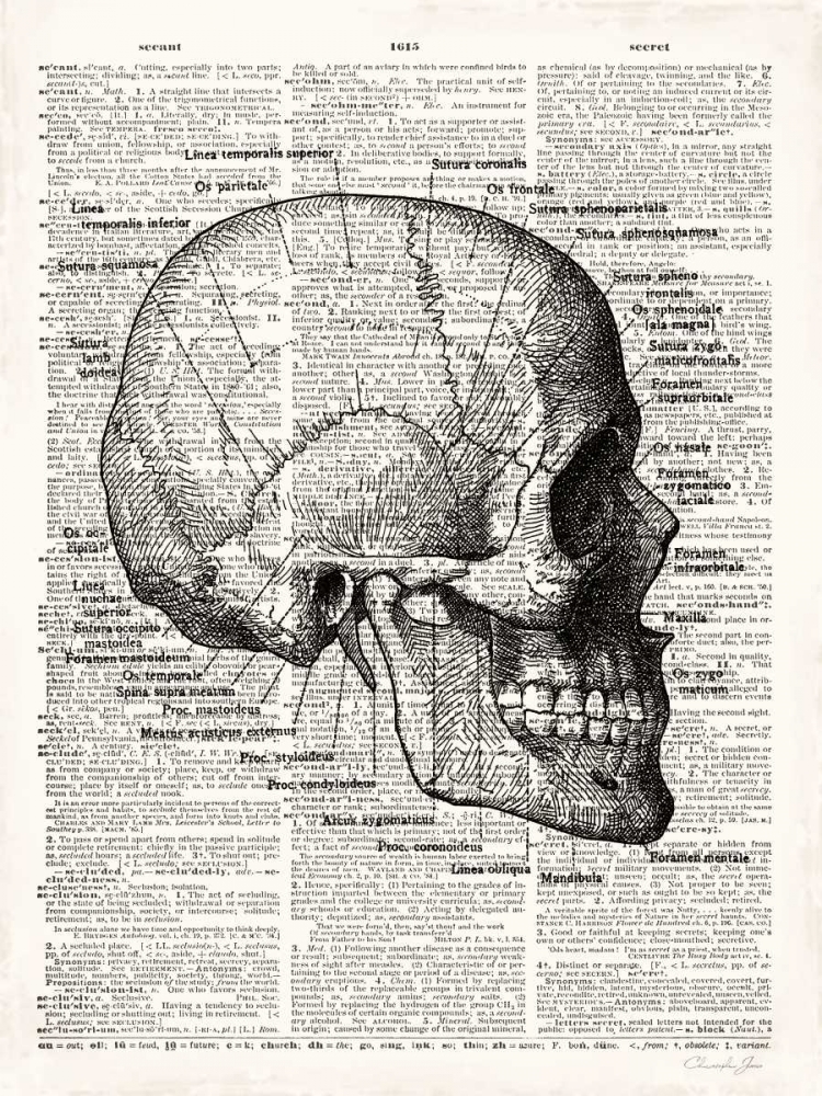 Vintage Anatomy Skull