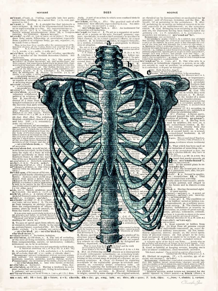 Vintage Anatomy Study