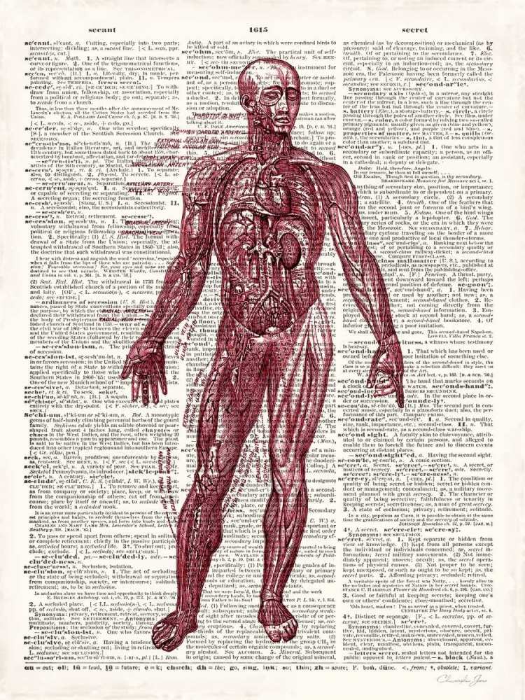 Vintage Anatomy Book