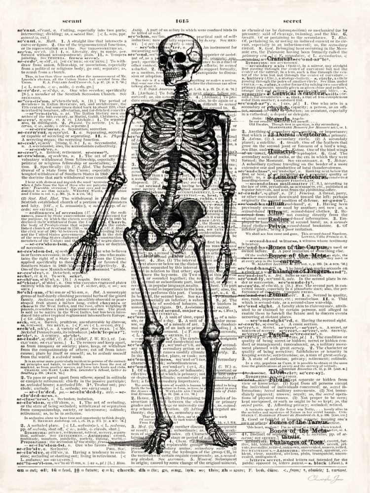 Vintage Anatomy Skeleton