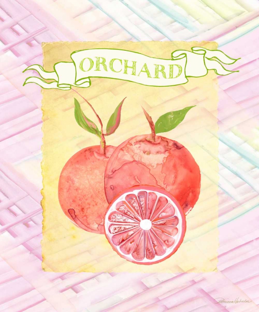 Citrus Orchard 2