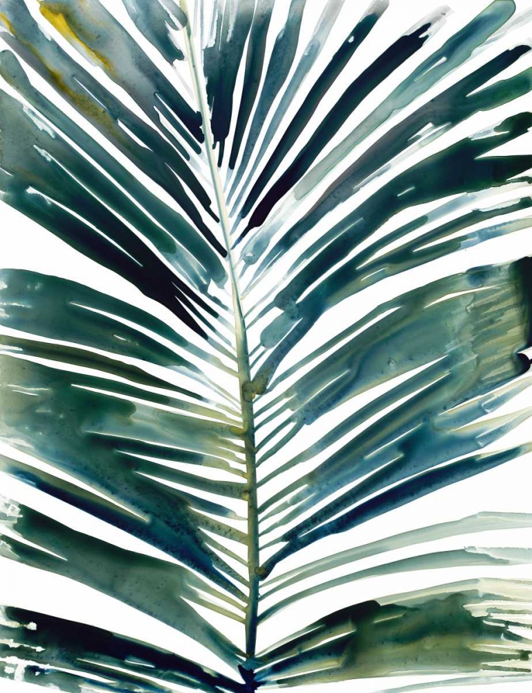 Tropical palm