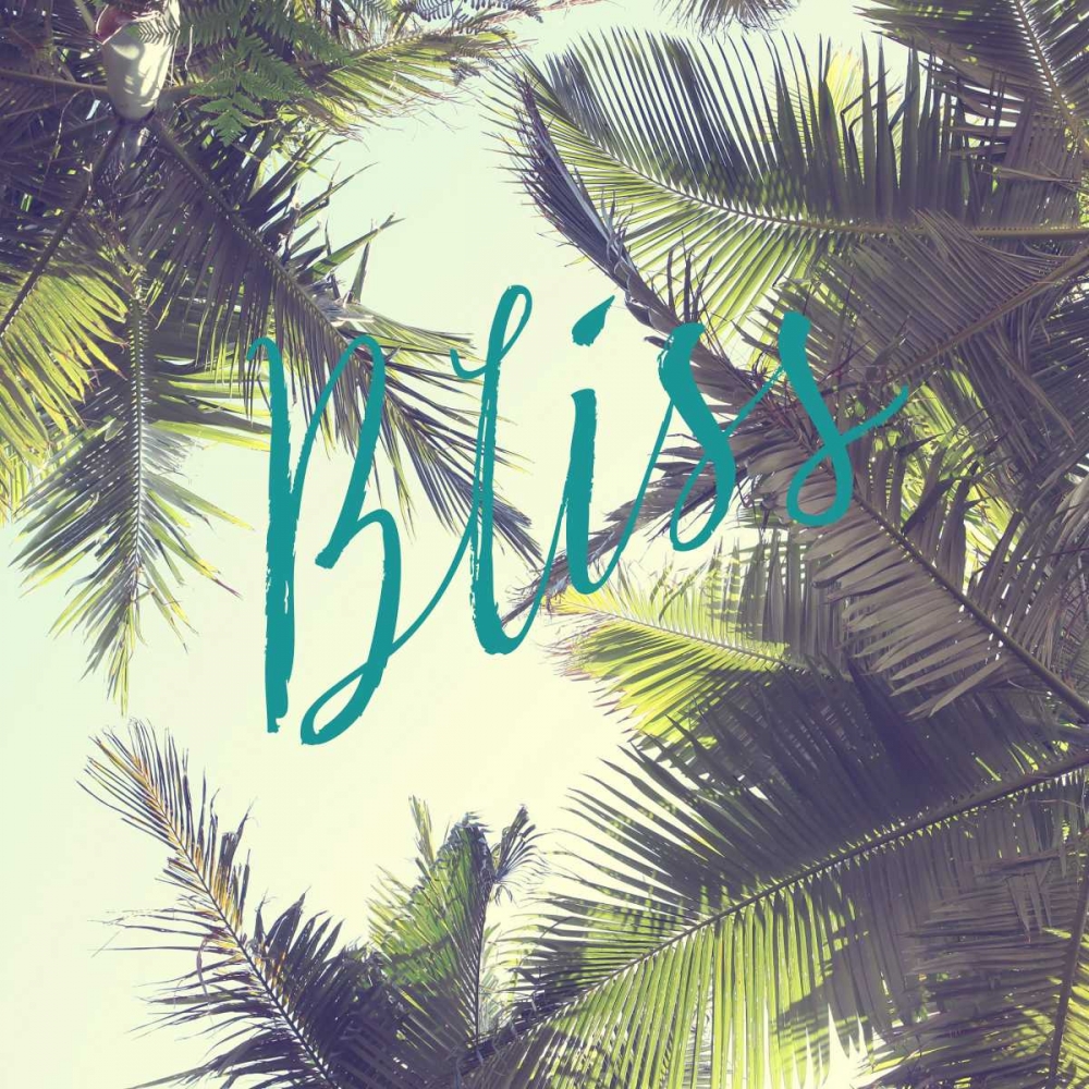 Bliss Palm Trees