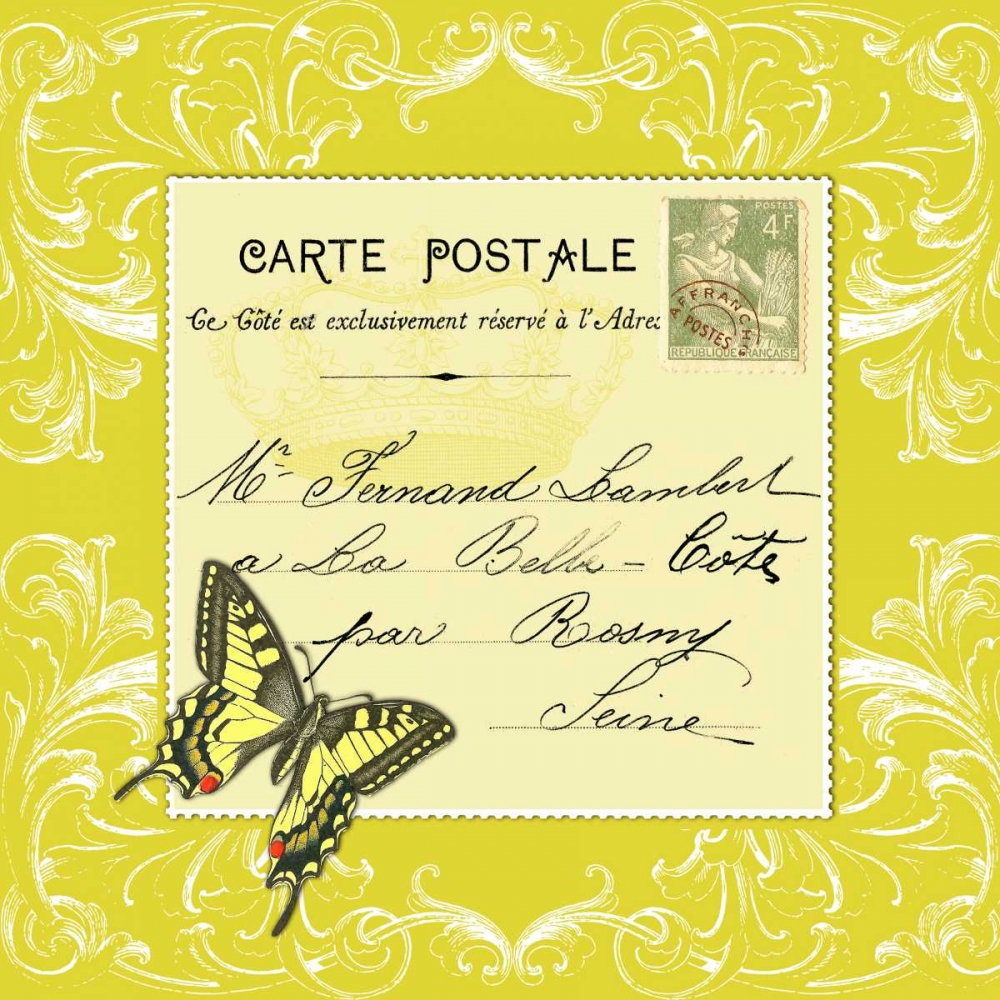 Butterfly Carte Postale Cirtrus
