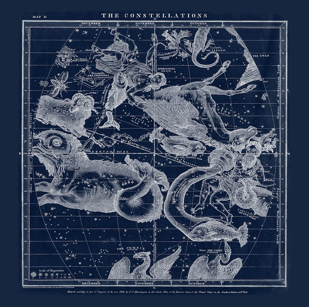 The Constellations