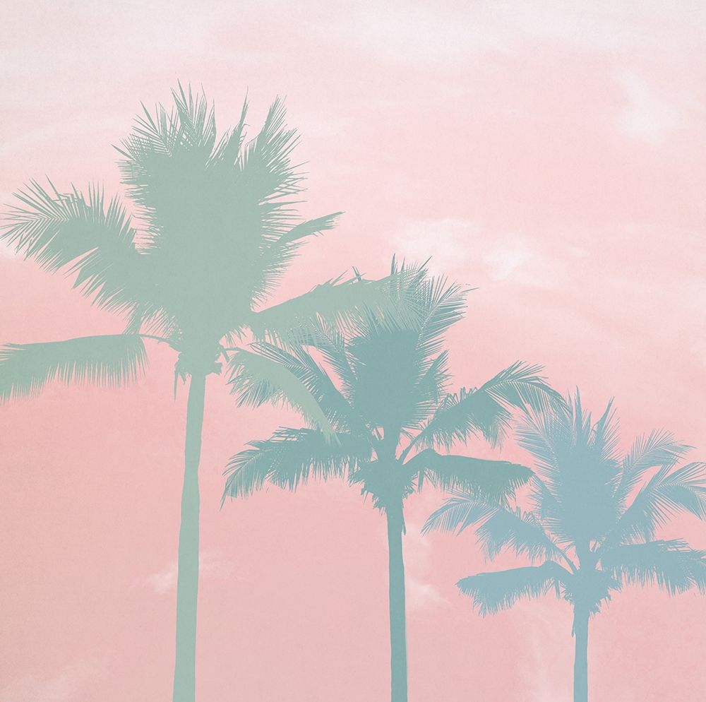 Sunset Palm Trees