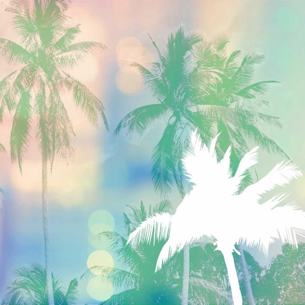 Soft Palm Trees