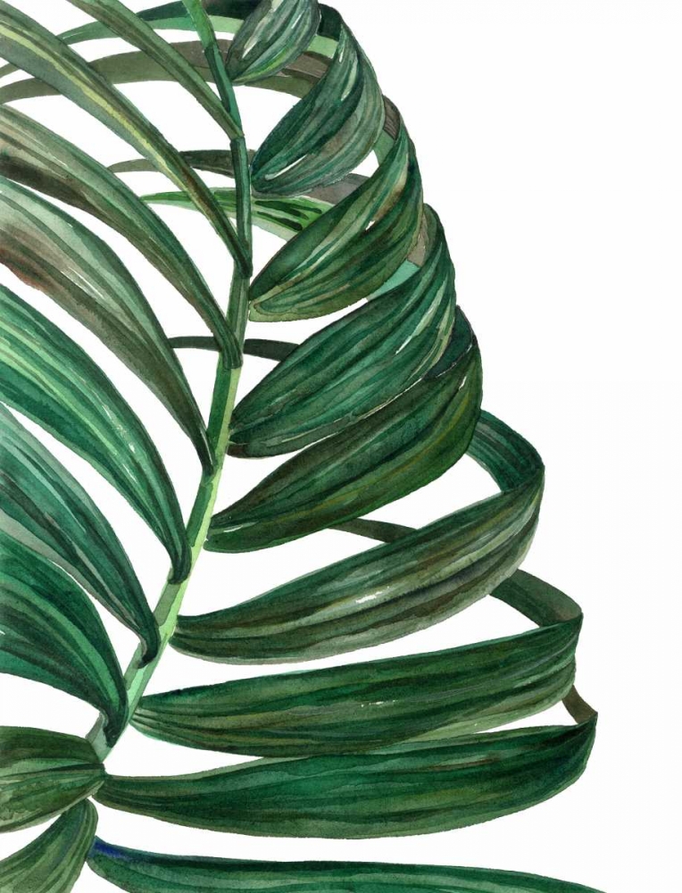 Tropical Breeze Palm 1