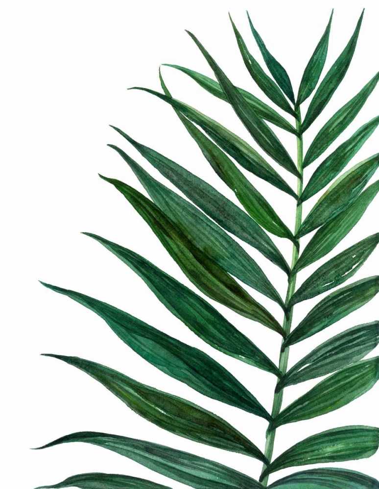 Tropical Breeze Palm 2
