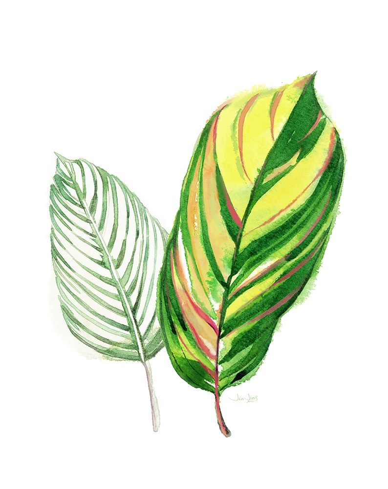 Tropical Striped Leaf