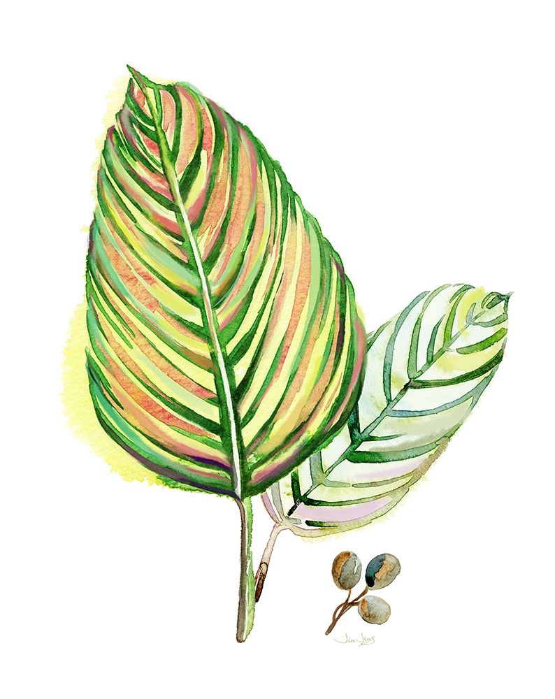 Tropical Foliage