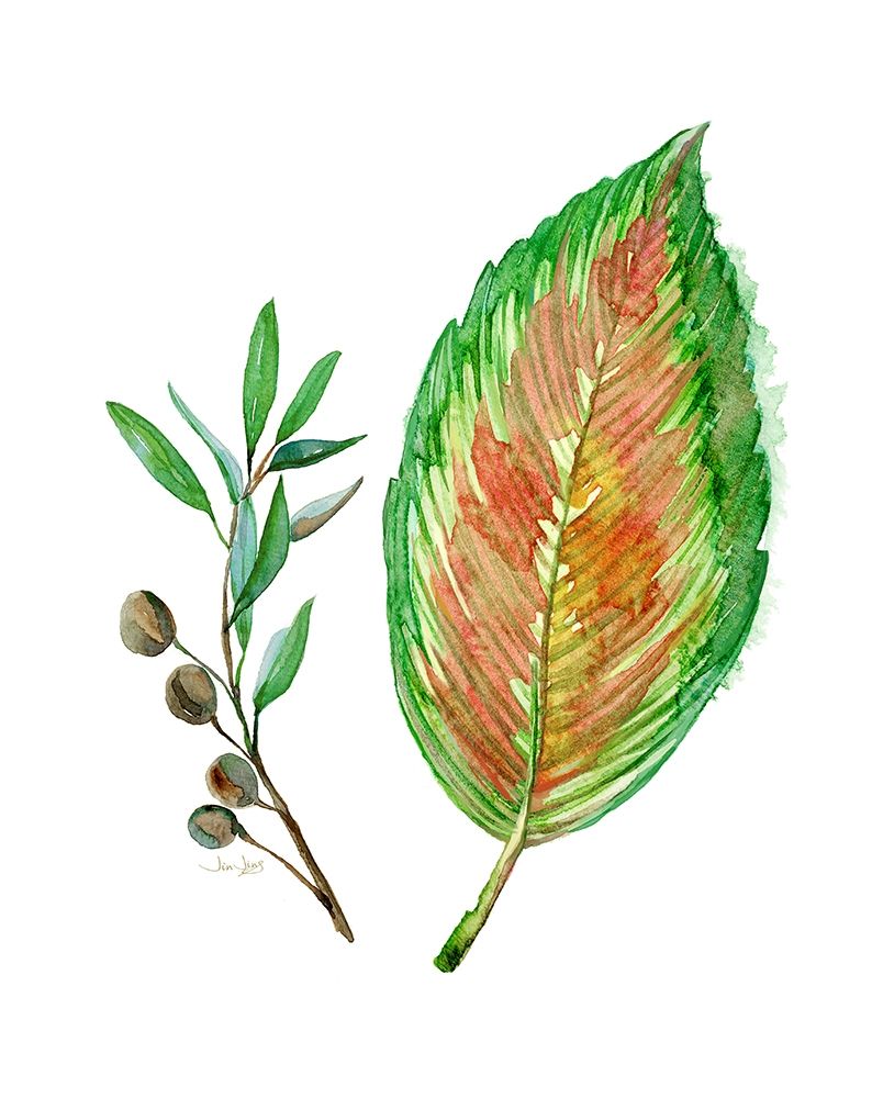 Tropical Botanical
