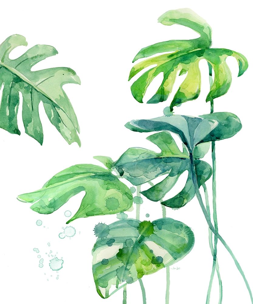 Fresh Tropical 2