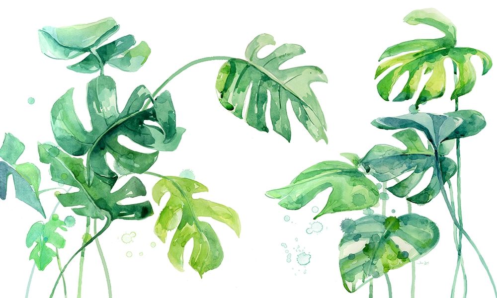 Lush and Tropical