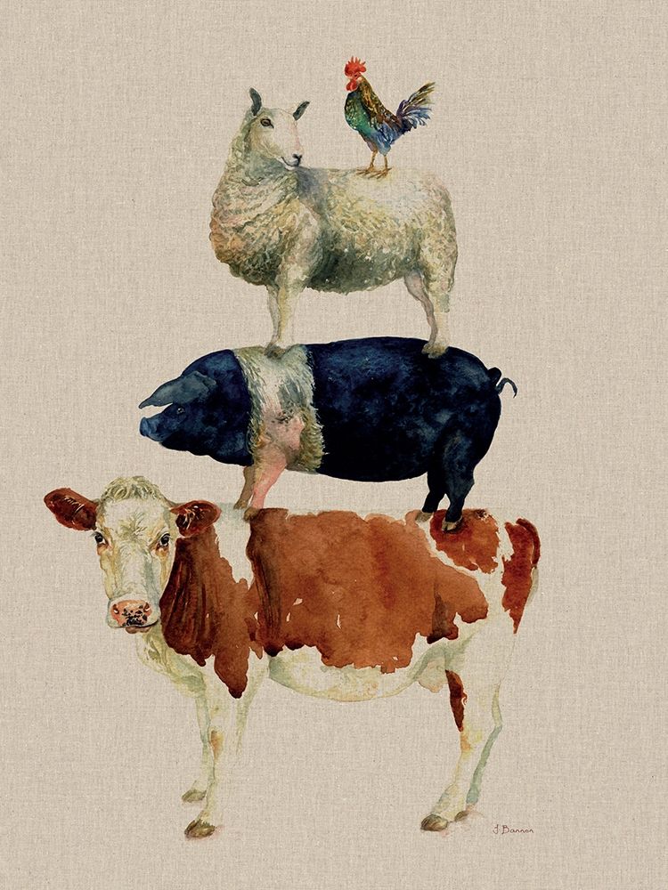 Farmyard Fun