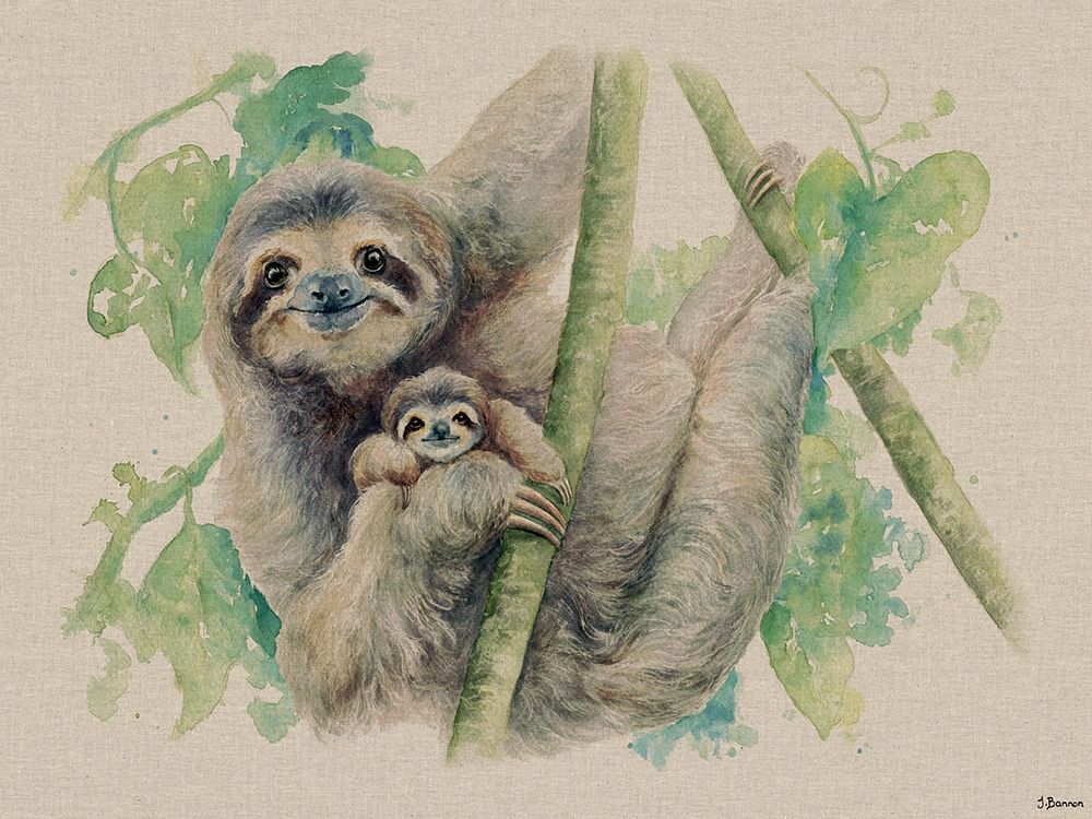 Live Life in the Sloth Lane