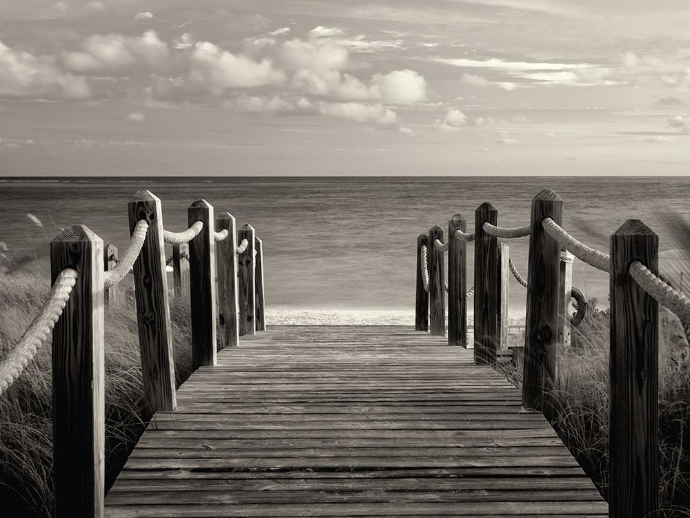 Pathway to Paradise