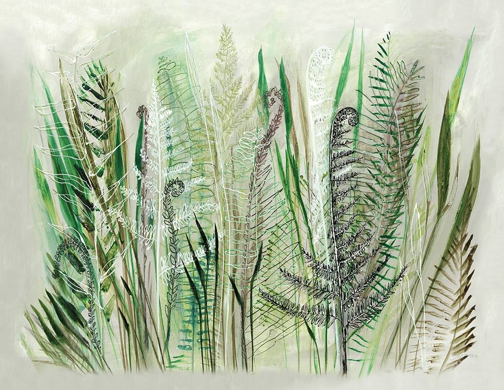 Ferns II