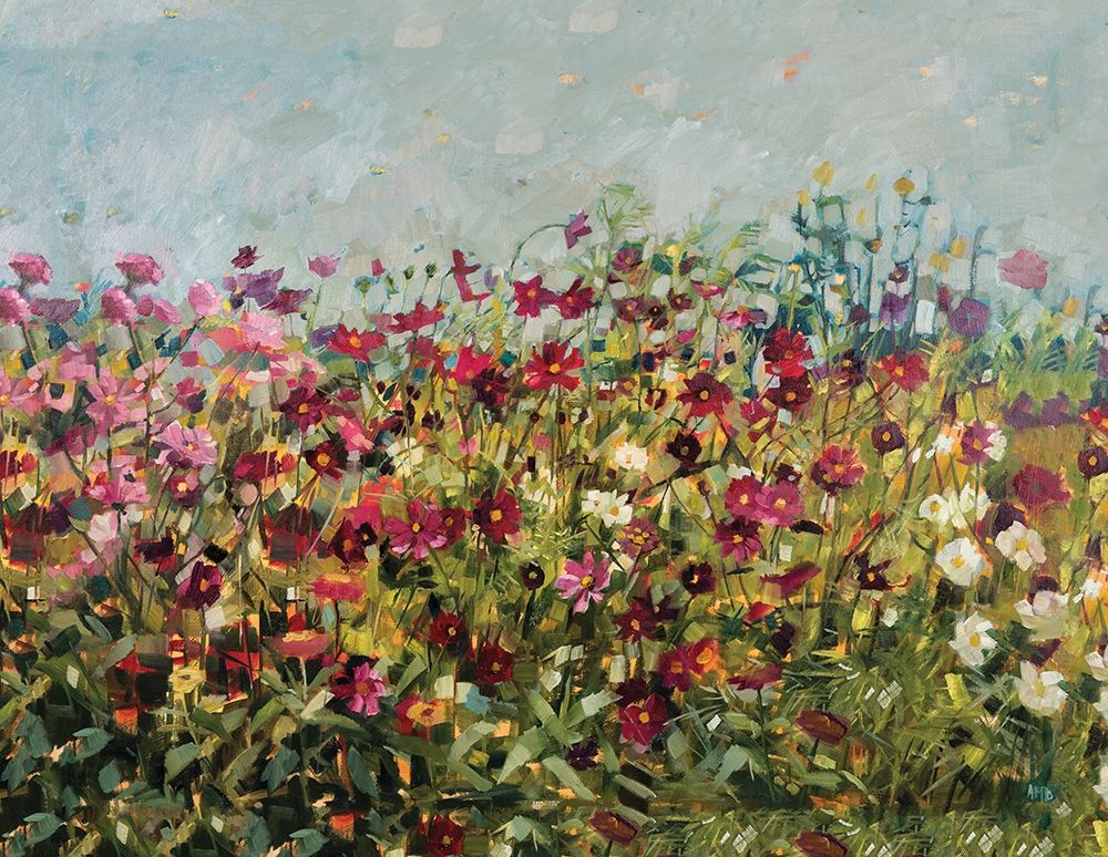 Pink Cosmos