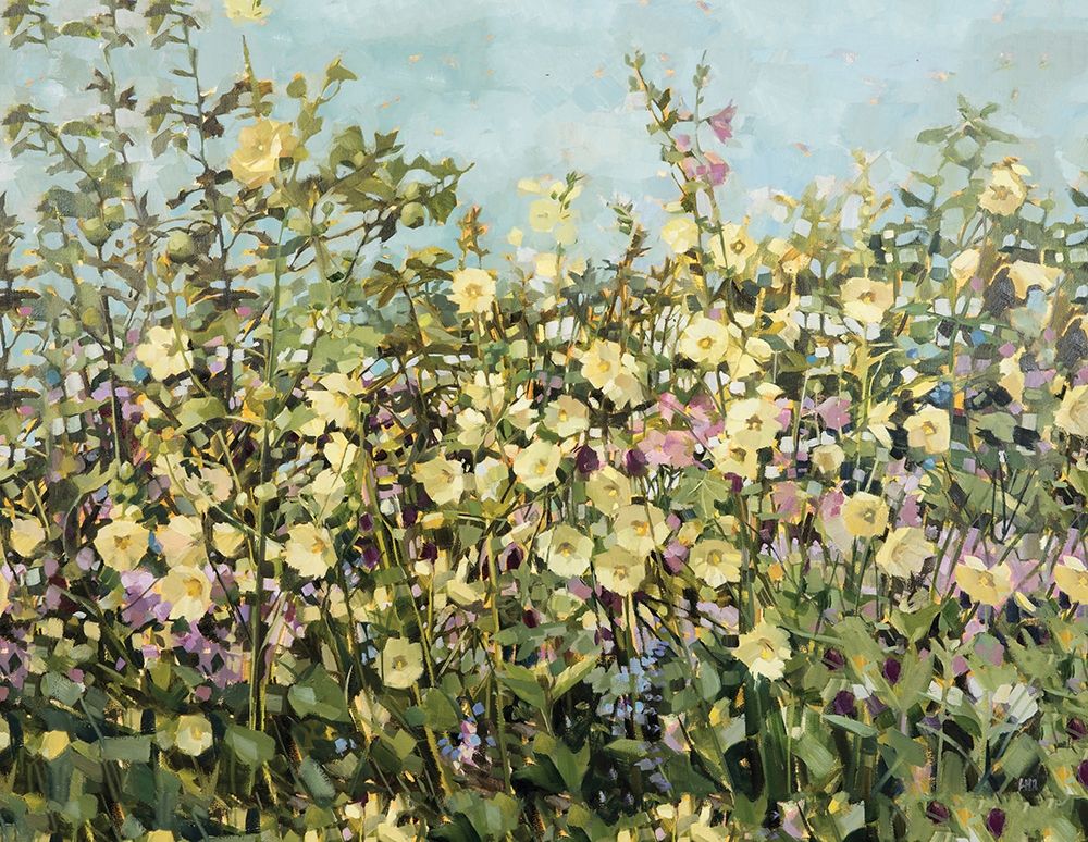 Yellow Hollyhocks