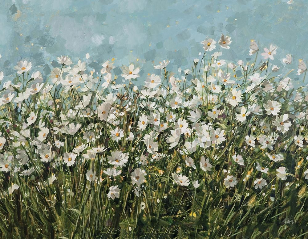 White Cosmos