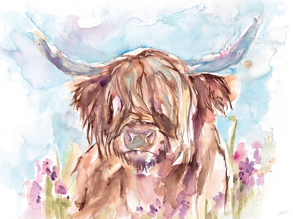 Highland Cow