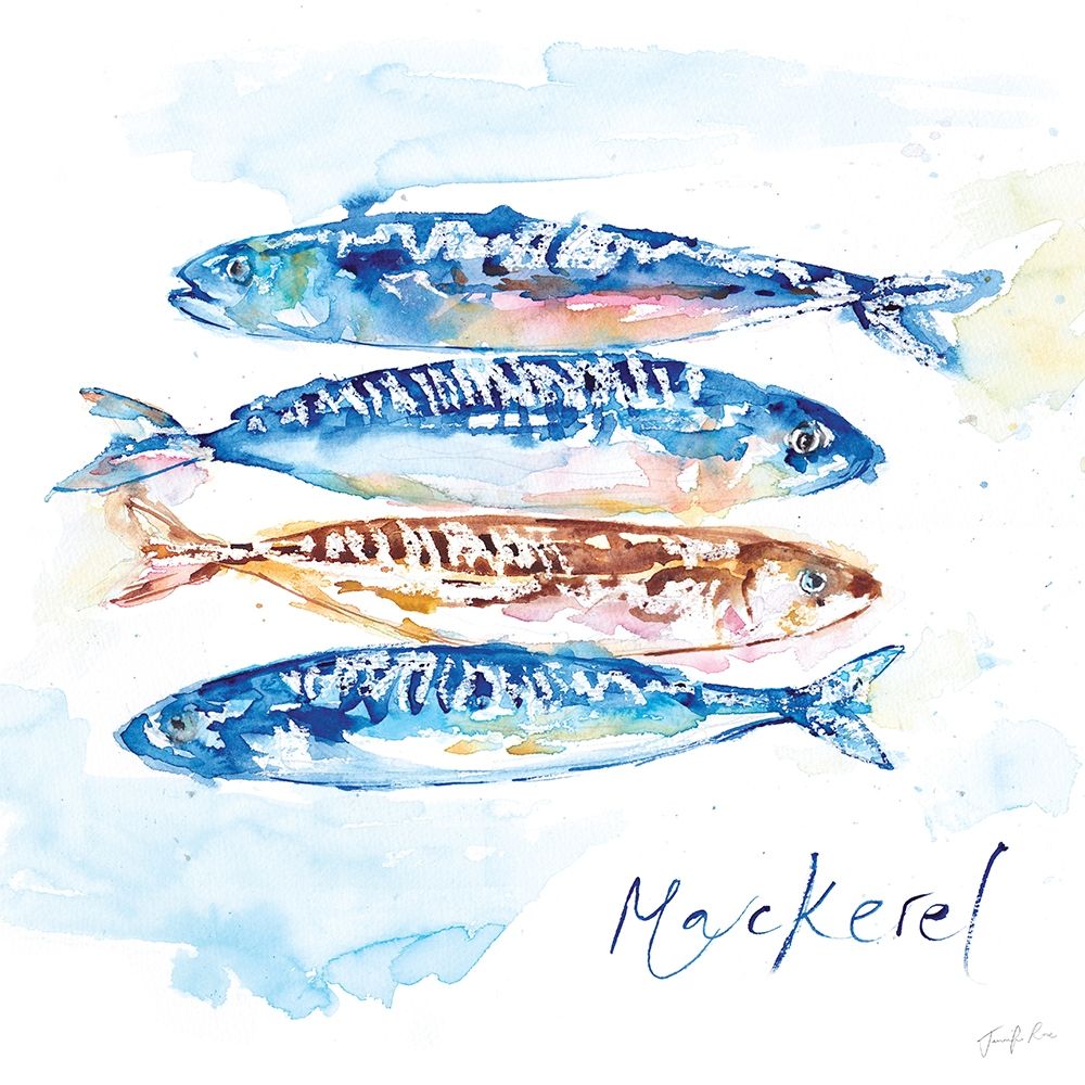Mackerel