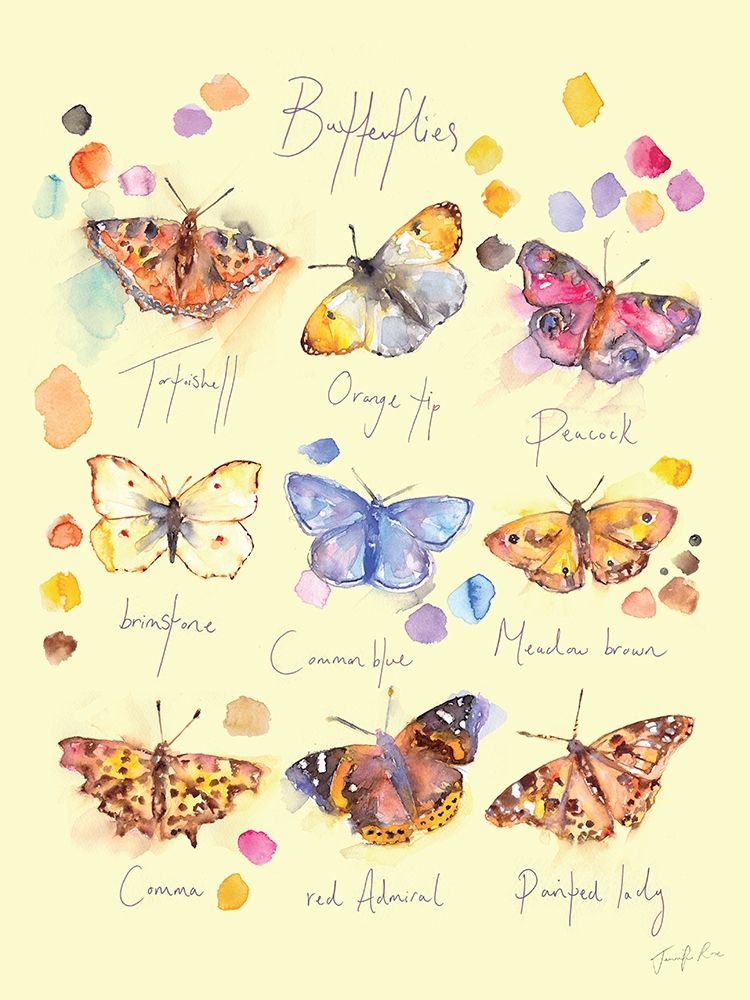 Butterflies