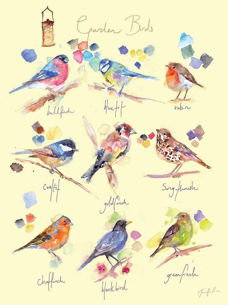 Garden Birds