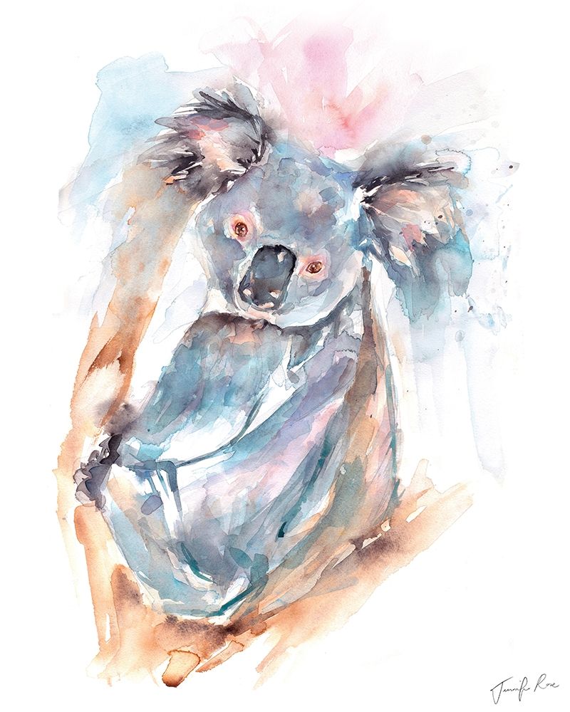 Koala