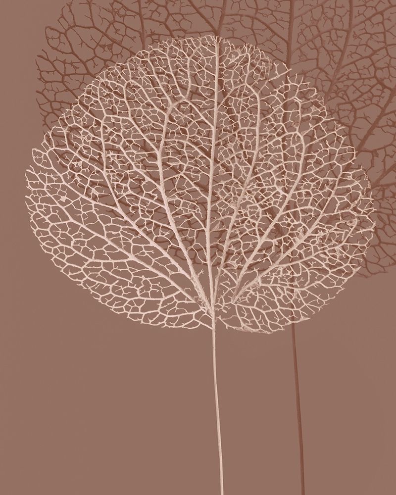 Stem Silhouette I