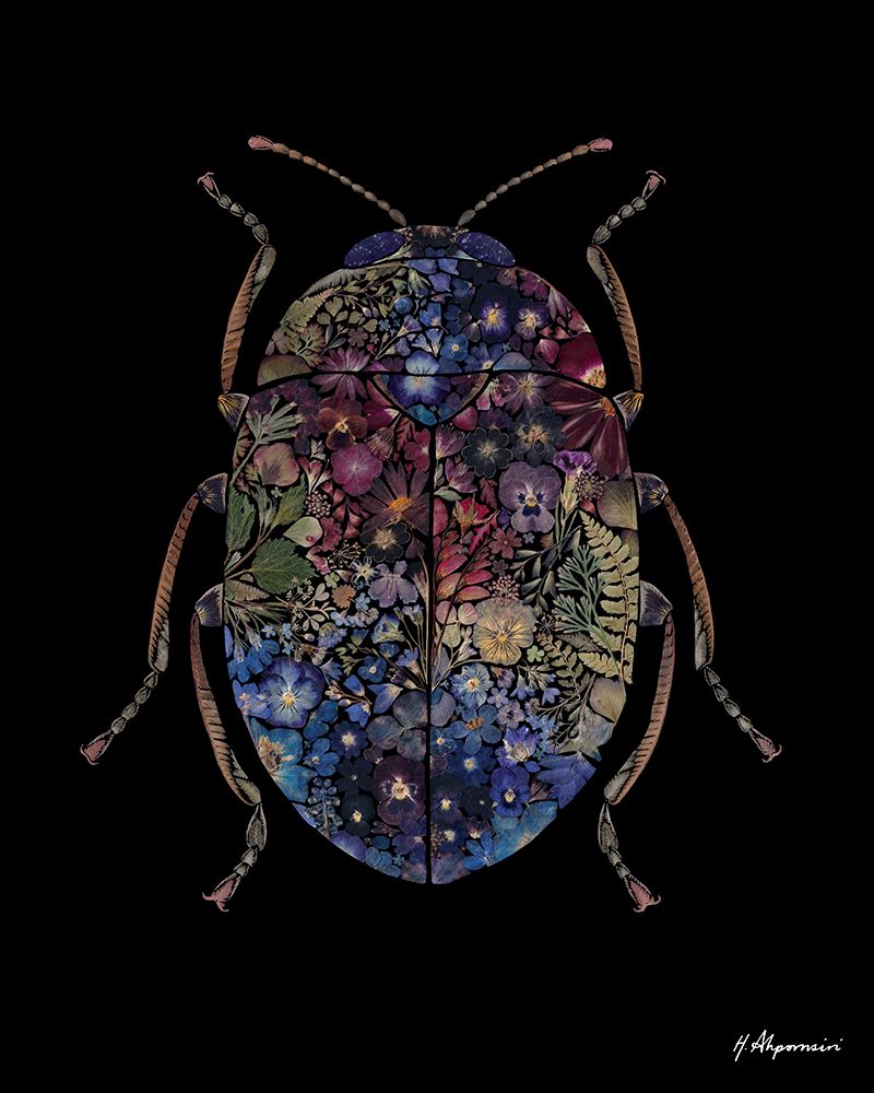 Iridescent Beetle