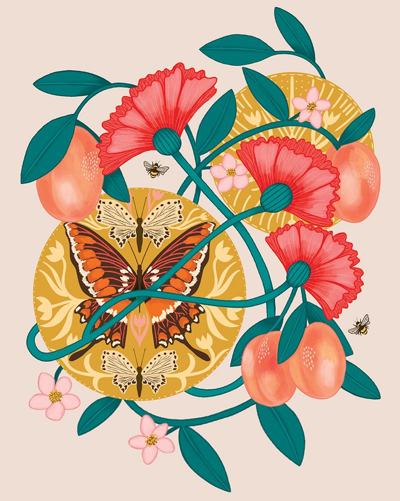 Apricots