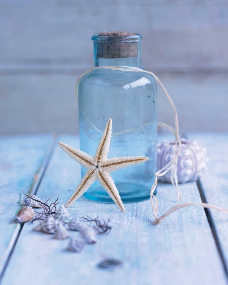 Seaside Treasure