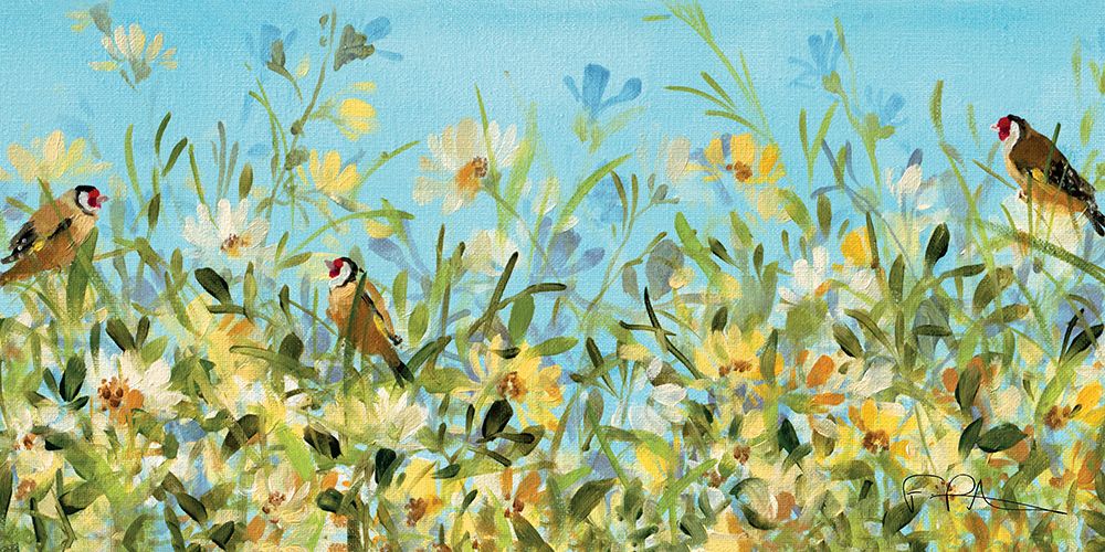 Garden Goldfinches